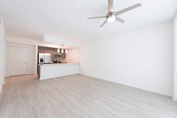 Apartment Home Interiors